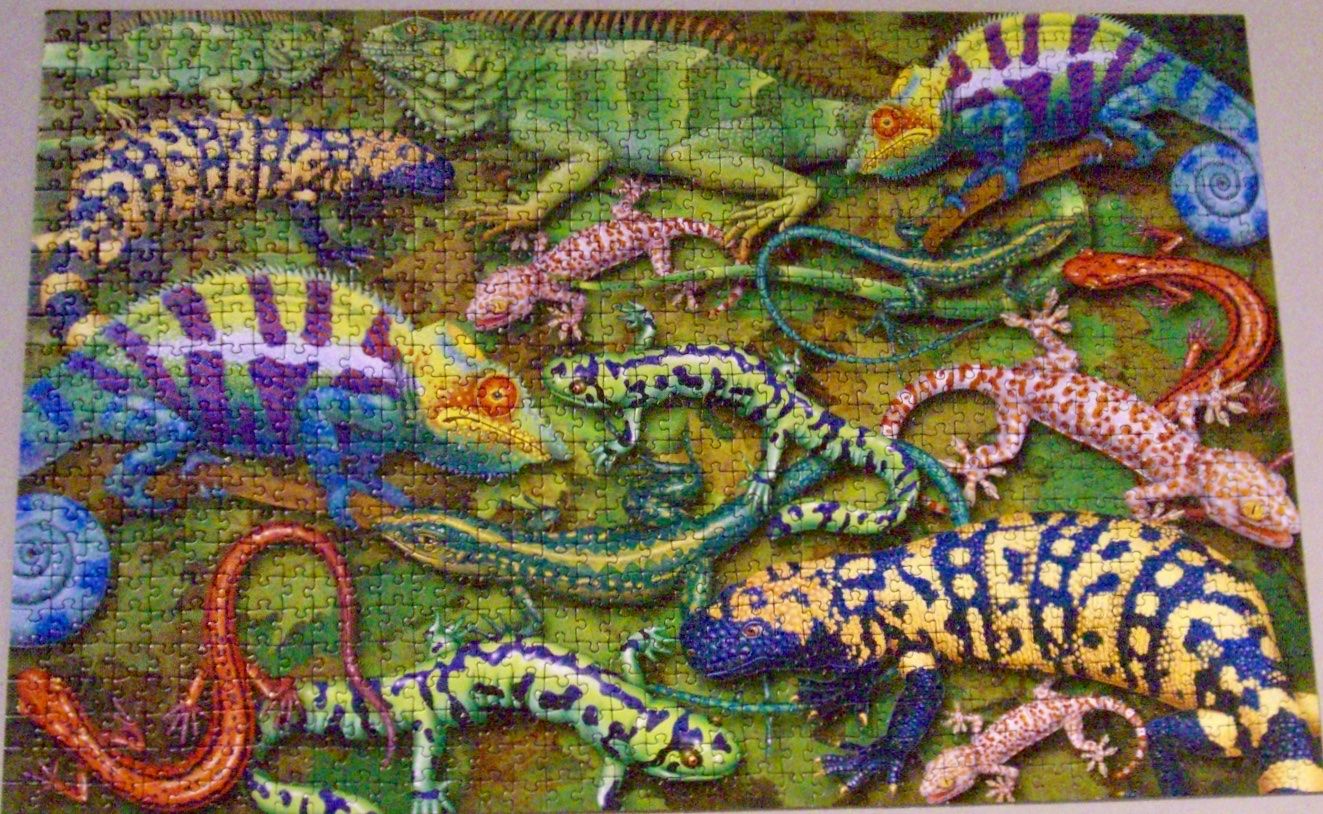 Puzzle: Puzzle Salamander, 1000 Teile, komplett! – Usato da Uster venduto da bea_jj5h 1