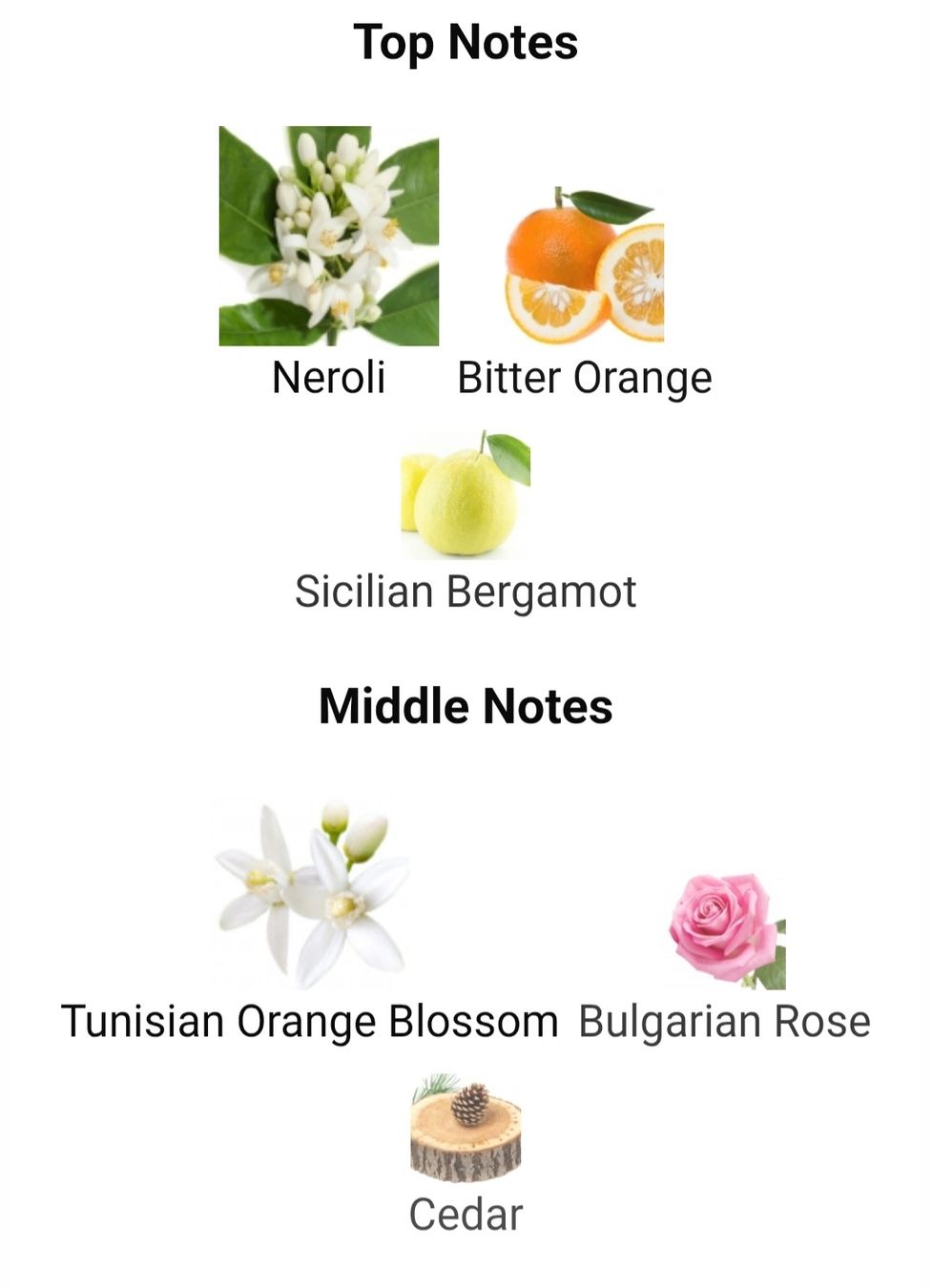Montale Profumi & Eau de Toilette: MONTALE Holy Neroli – Nuovo (secondo la descrizione) da Utzigen venduto da DRAGONY23 3