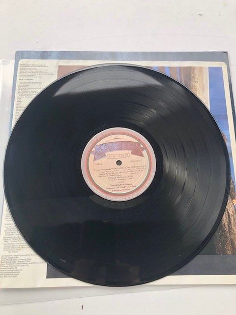 Dischi in vinile: Bon Jovi – Usato da Aarwangen venduto da Jukebox3 5
