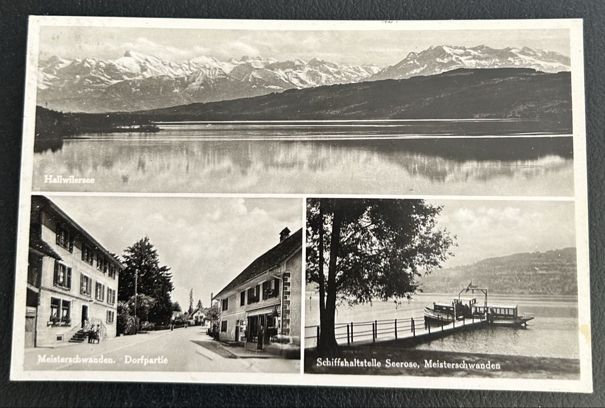 Cartoline postali: AK Meisterschwanden 3-Bildrig  – Usato da Horw venduto da Tellbub
