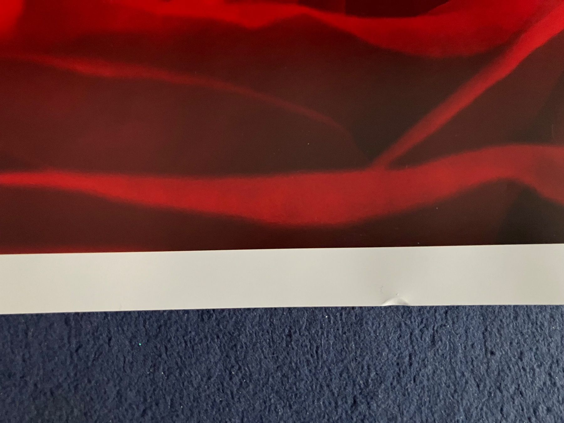Foto & Immagini: Poster mit Motiv Rose 33x95 cm – Nuovo (secondo la descrizione) da Kloten venduto da dkra 5