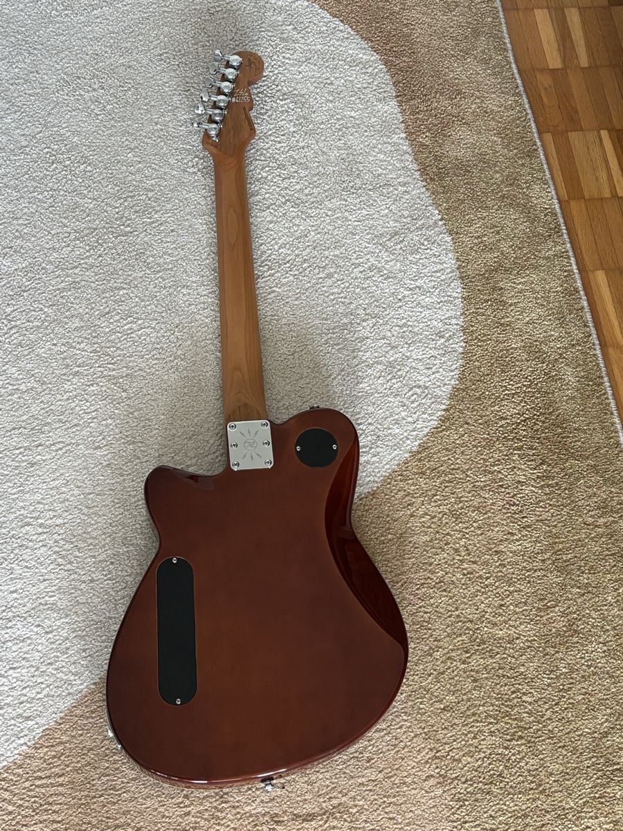 Strumenti musicali: Reverend Chris Freeman Signature – Usato da St. Gallen venduto da zwilling_97 1
