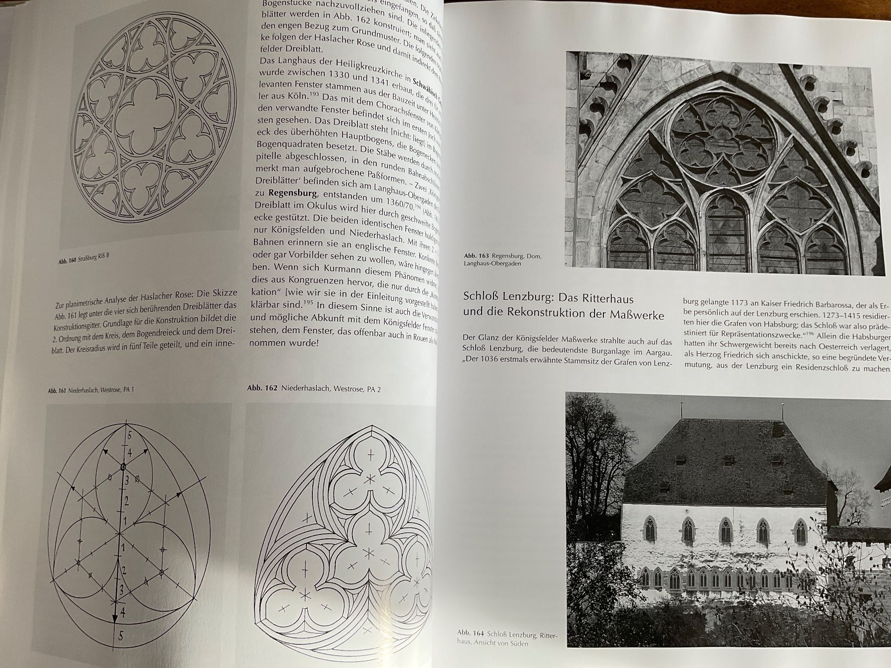 Libri: geschichte des masswerks am oberrhein – Usato da Avenches venduto da Optimus_ 3