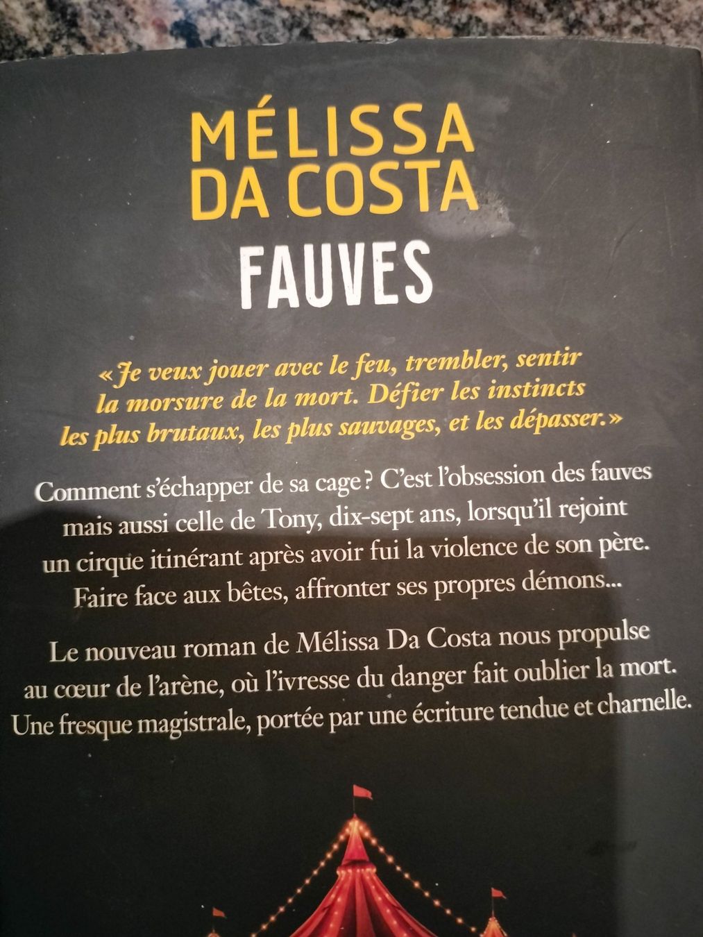 Libri: Fauves Mélissa Da Costa – Usato da Cortaillod venduto da rozinna 1