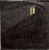 MIKE OLDFIELD AND ROGER CHAPMAN - SHADOW ON THE WALL