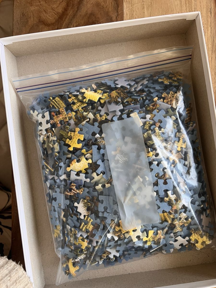 Ravensburger Puzzles: Puzzle 1000 Teile Kaktus-Landschaft – Gebraucht aus Kloten von Django008 2