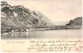 Gruss aus WALLENSTADT (Generalansicht) ca. 1900 (SG)