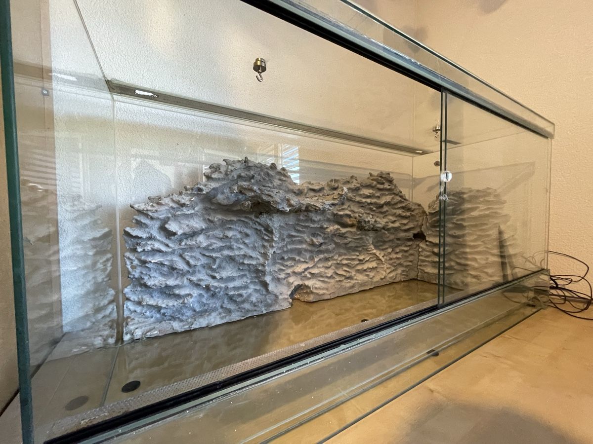 Terrario: Terrarium 120x50x60cm – Usato da Buttwil venduto da iri_s 1