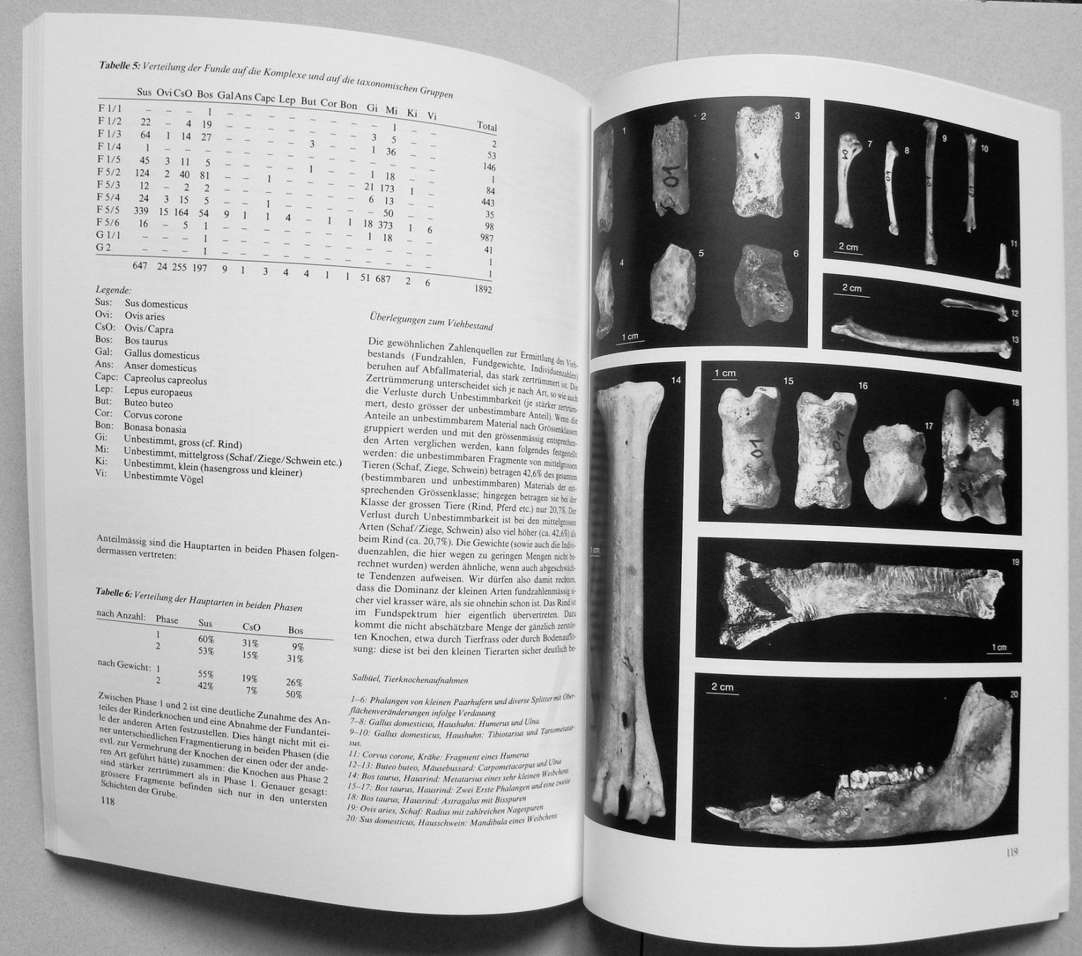Libri: Pfostenbau und Grubenhaus – Usato da Burgdorf venduto da Joggigring 9