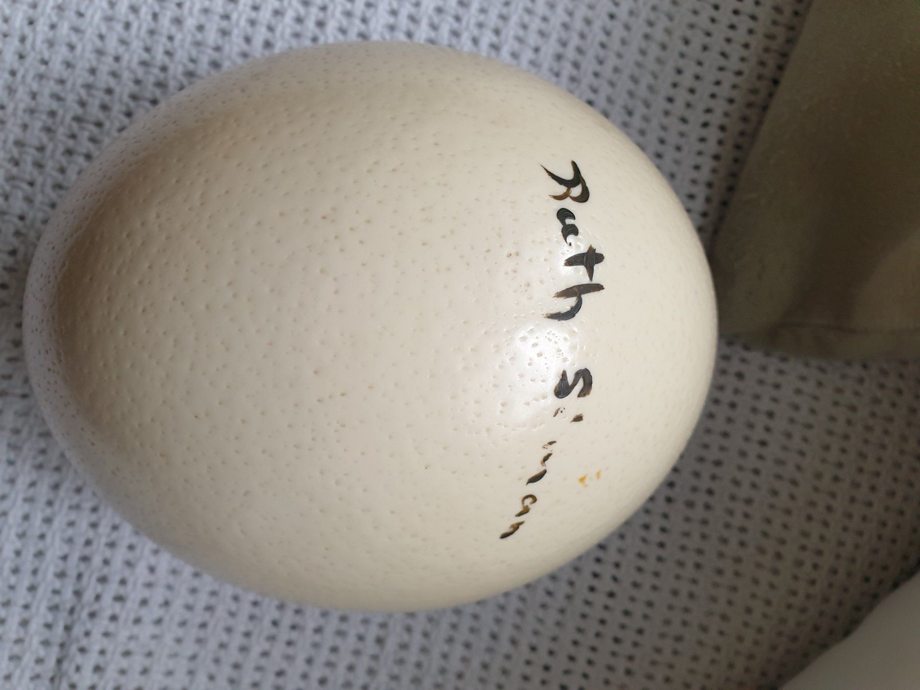 Tutte le decorazioni: Straussen Ei bemalt – Usato da Schönengrund venduto da lia_t65g 2