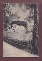 LUZERN - Löwendenkmal