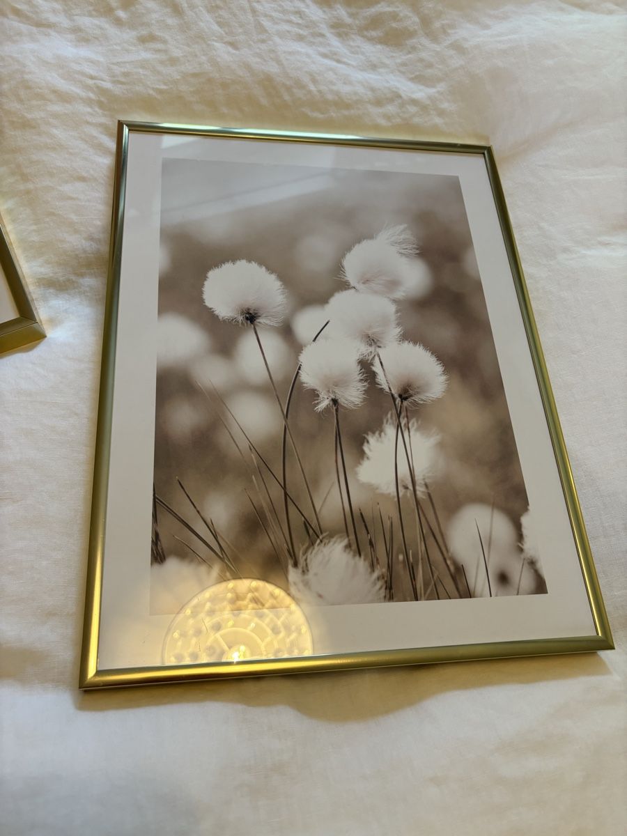 Posters & Illustrations: Poster mit Bilderrahmen Gold  – D'occasion à Winterthur par beijaflor777 3