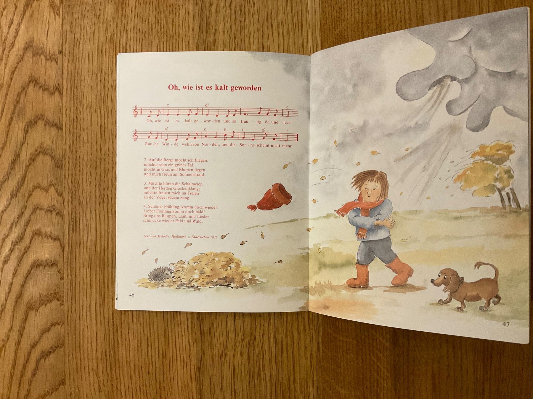 Libri: Die schönsten Kinderlieder mit farbigen Noten - Ursula Köhle – Usato da Wetzikon ZH venduto da Gerbera5 5