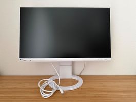 Eizo EV2480 Bildschirm (24 Zoll), perfekter Zustand