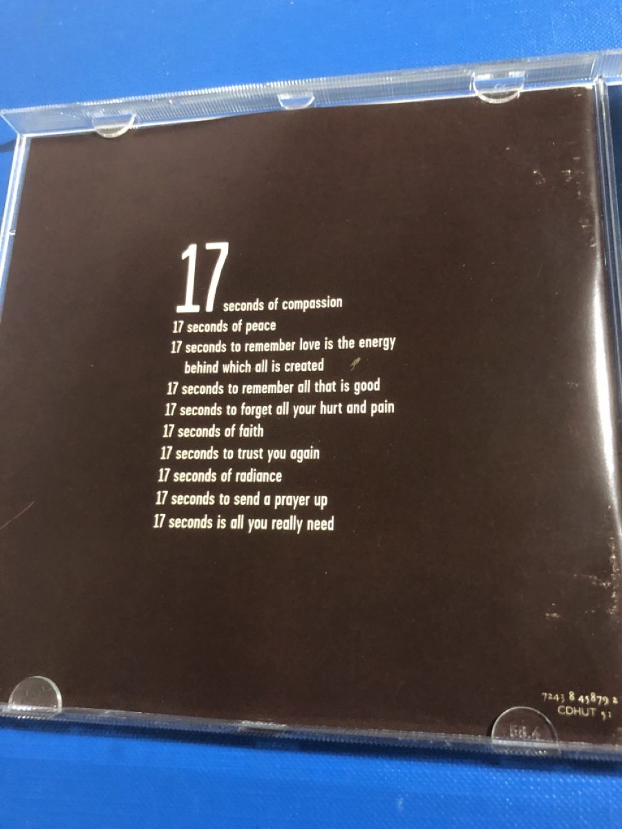 CD: The Smashing Pumpkins - Adore CD, Top Zustand – Usato da Flaach venduto da rubo7 2