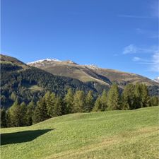 Profile image of haene1