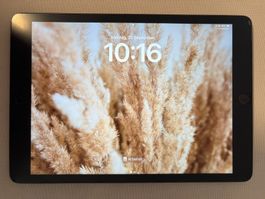 iPad 7. Generation 10.2 Zoll inkl. Tastatur