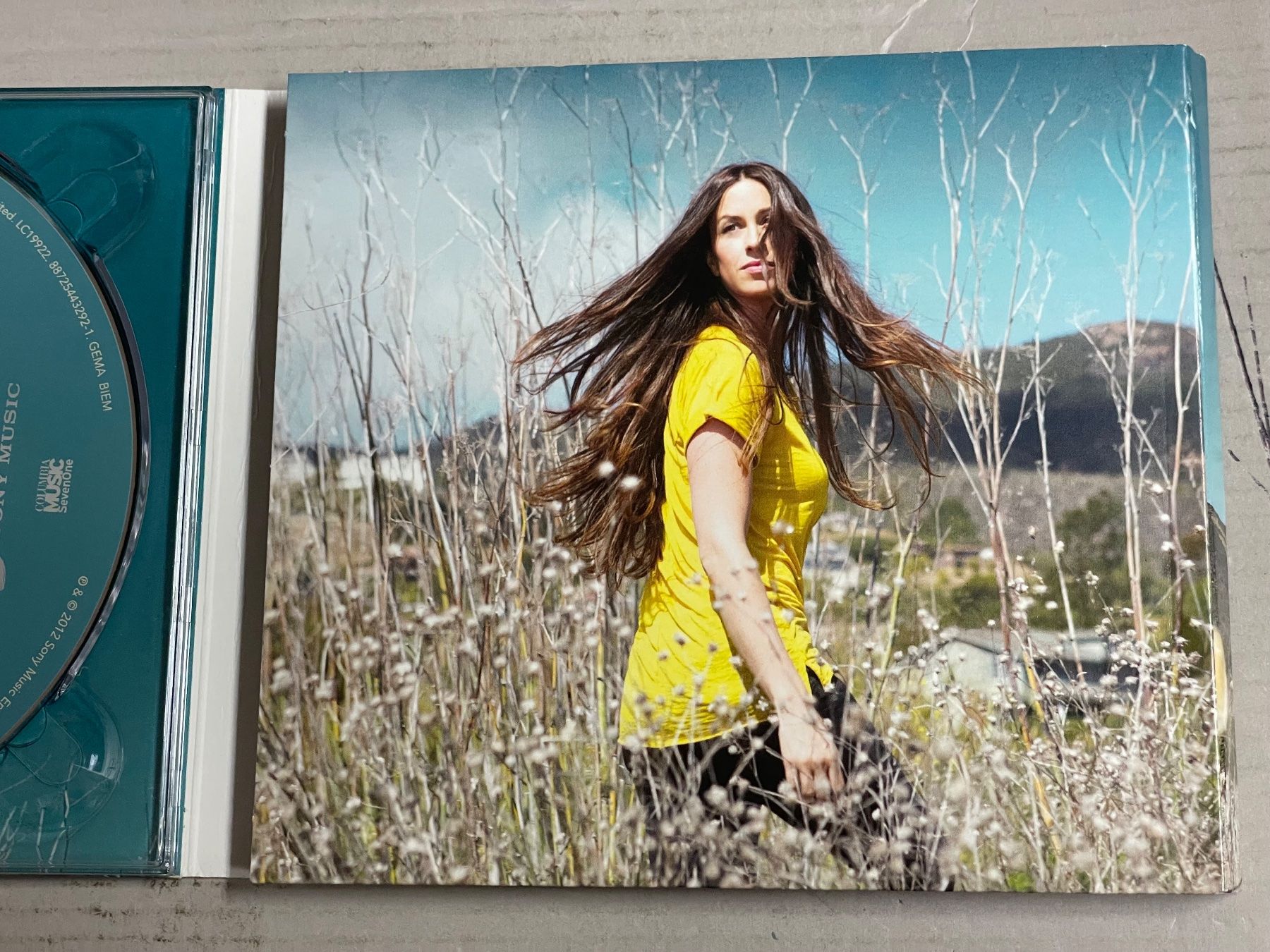 CD: Alanis Morissette - Havoc And Bright Lights – Usato da Muri b. Bern venduto da AdidasCollector 2
