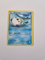 Oshawott - Legendary Treasures - EN 