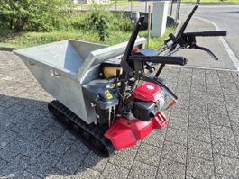 Raupentransporter