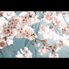 Profile image of Nina_andrea24