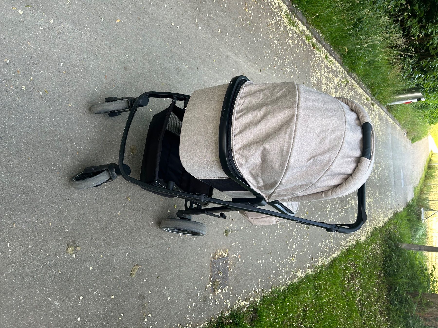 Carrozzine: Kinderwagen – Usato da Bachenbülach venduto da smoki-2019 1