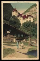AK Wimmis, Ortsansicht mit Schloß
