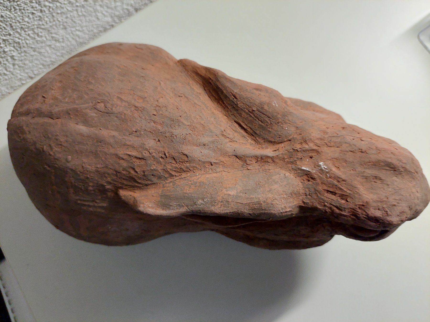 Sculture & Statue: Hase - gebrannter Ton – Nuovo (secondo la descrizione) da Wil SG venduto da ram_c5j2 2