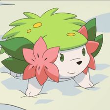 Profile image of swissnerd94