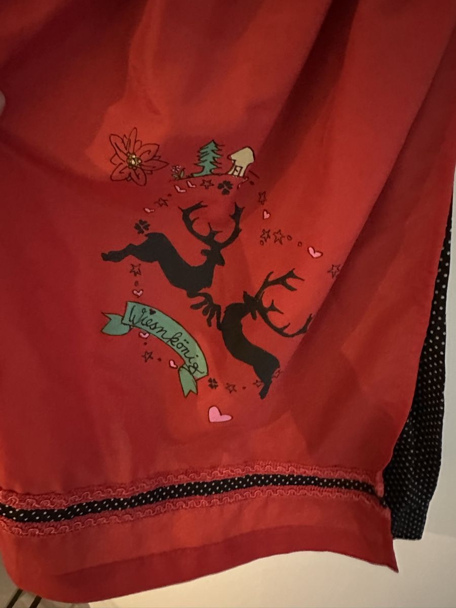 Costumi: Wiesnkönig Dirndl inkl. Bluse, Gr.40 – Usato da Rafz venduto da Dilifledermaus 3