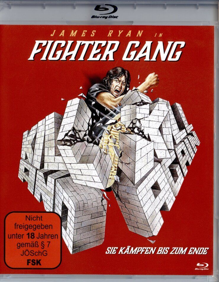 Tutti i DVDs: FIGHTER GANG..........sie kämpfen bis zum Ende – Usato da Reinach AG venduto da Masi