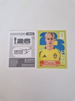 Panini Sticker SWE8