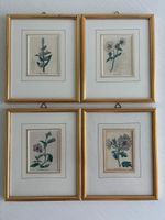 4 Stahlstiche ca. 1830