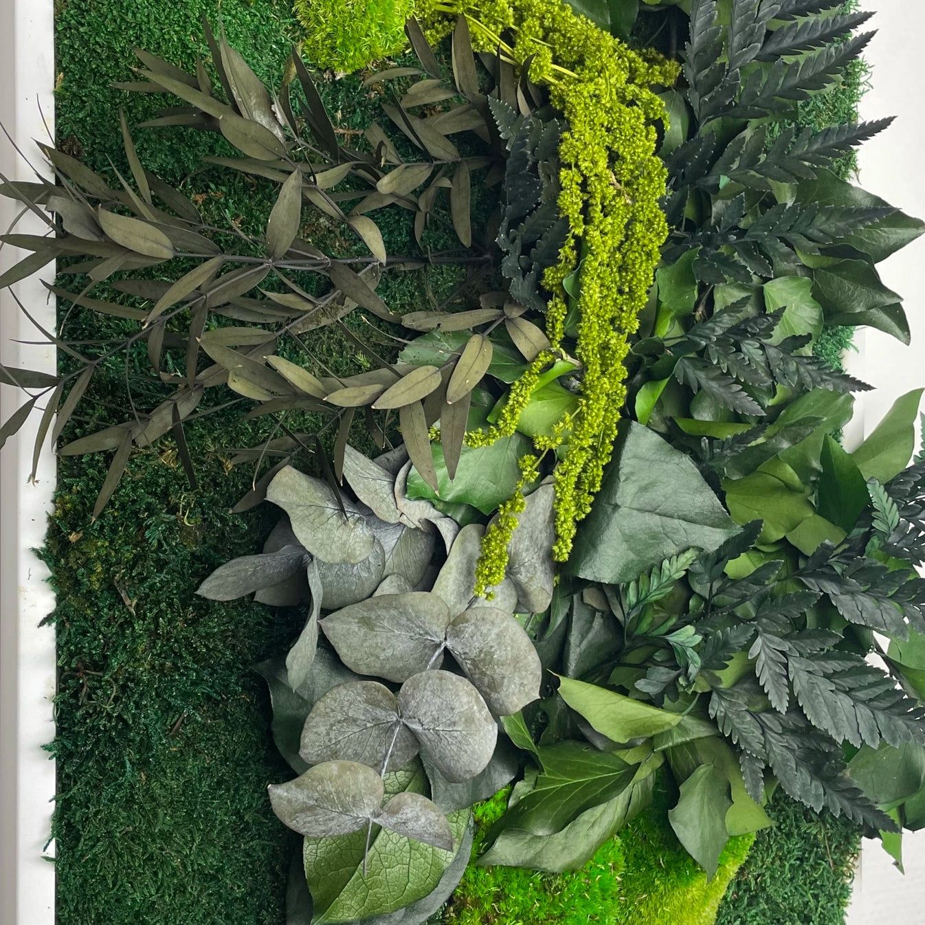 Tutte le decorazioni: Tableau jungle 115x40 noir – Nuovo (secondo la descrizione) da Montreux venduto da hev_mv5m 1