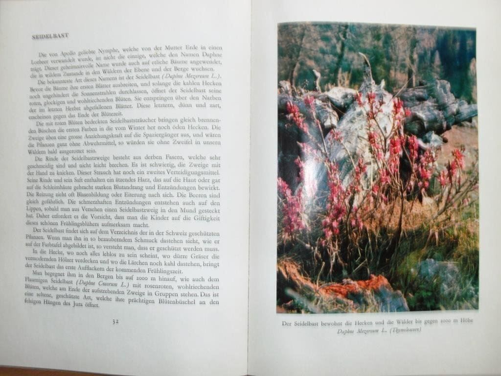 Libri: Unsere Blumen - Aloys Duperrex – Usato da Grenchen venduto da Kogi7 1
