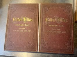 buch, bilder atlas 2 textbände 8 bildbände, 1875