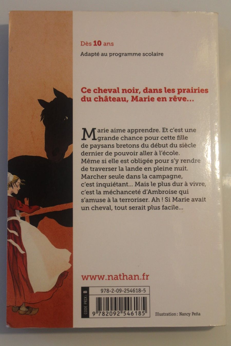 Libri: Livre " Un Cheval de rêve" – Usato da Daillens venduto da guisepa 1