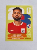 Panini Aníbal Godoy PAN 11
