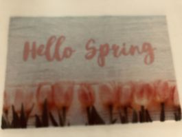 Hello Spring Türmatte mit Tulpen Motiv, neuwertig!