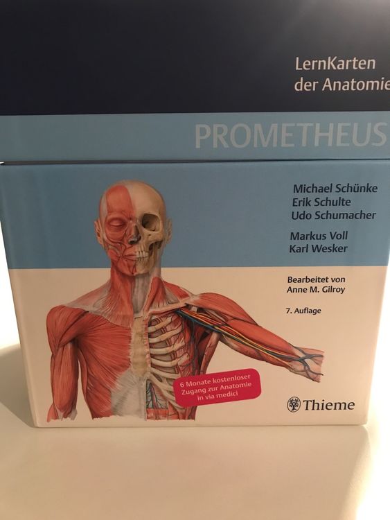Lernkarten Anatomie Prometheus | Kaufen auf Ricardo