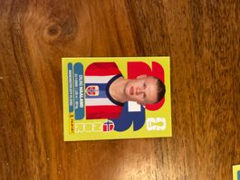 haaland panini wm 2026