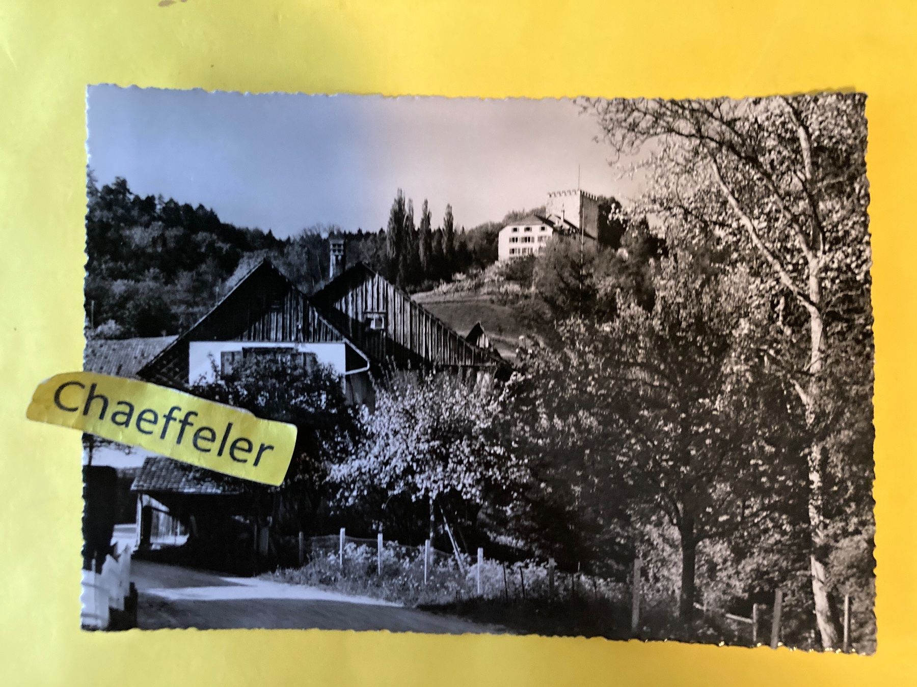 Ansichtskarten: 1954 Schloss Weinfelden – Gebraucht aus Zürich von Chaeffeler
