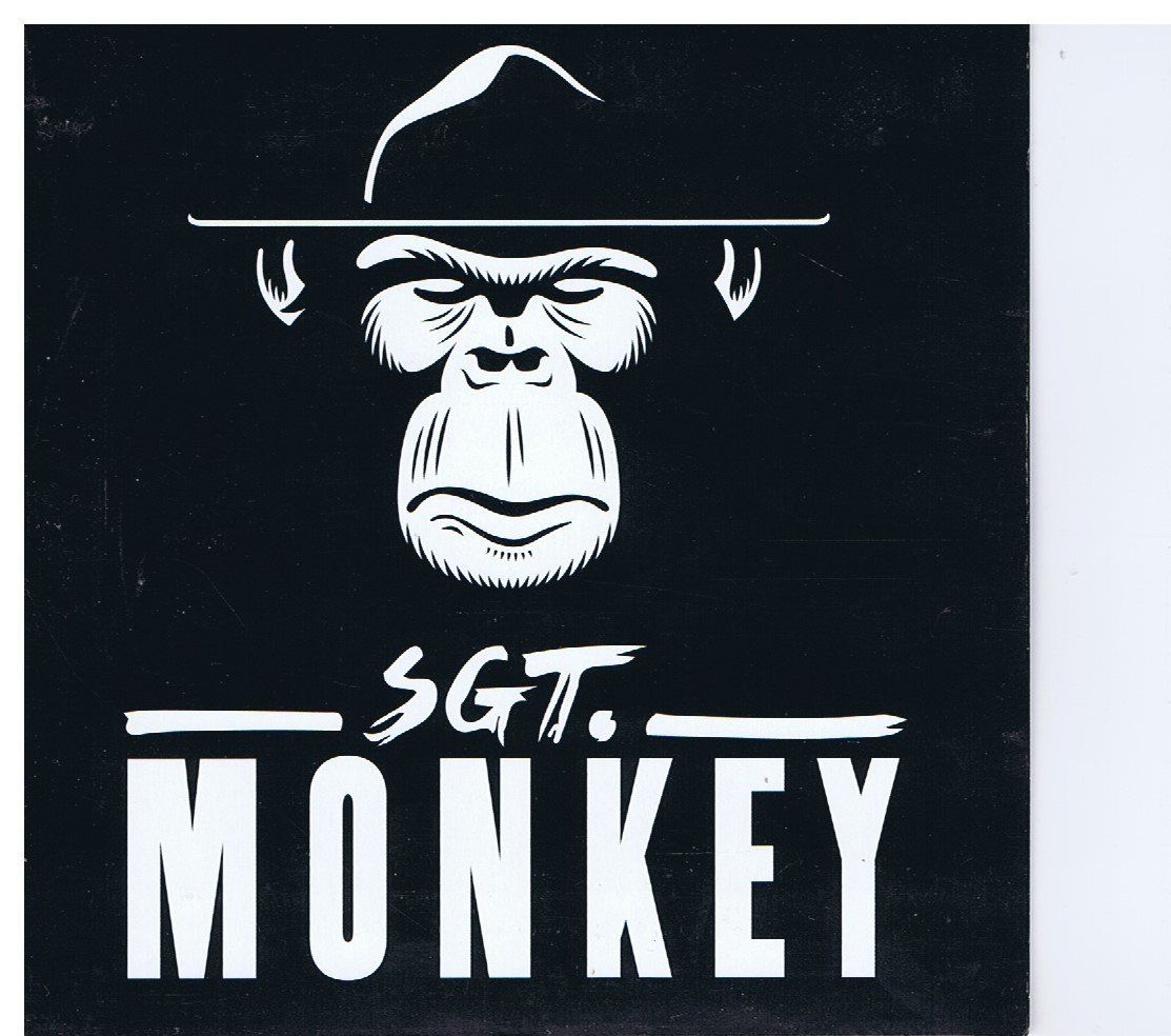 CD: Stg. Monkey / Biggarockaband – Usato da Unterengstringen venduto da Lastchance