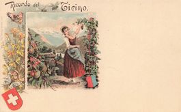 Costumi Ticinesi donna vendemmia Litho