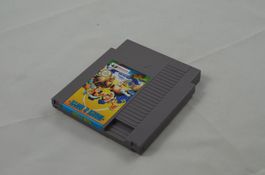 North & South NES Spiel