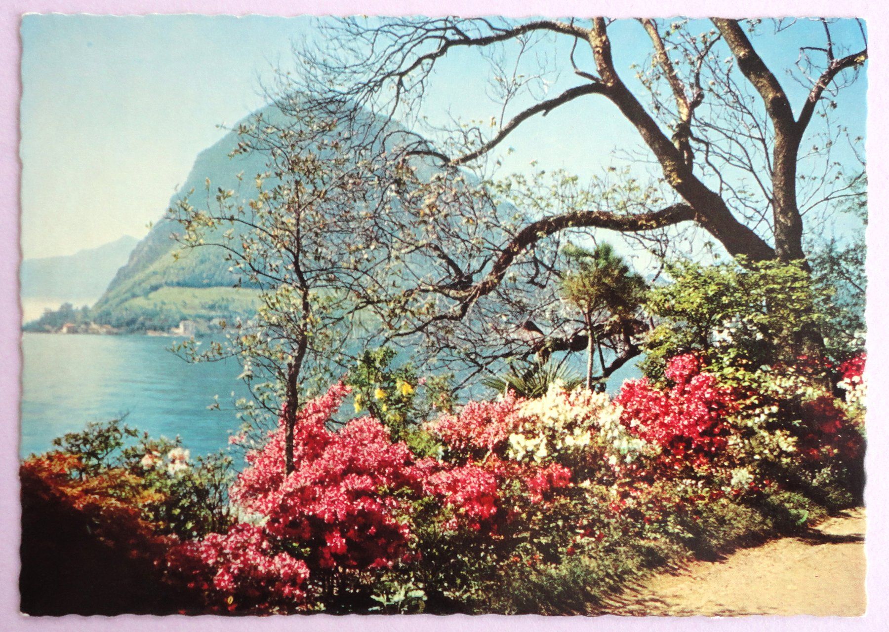 Cartoline postali: Lugano Quai – Usato da Fétigny venduto da Billy2miny
