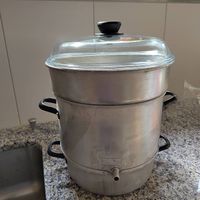 Dampf Entsafter Aluminium