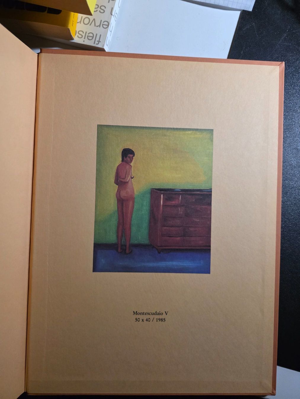 Libri: Yasmin und Iris - Hubert Schmalix - Kunst Buch 1986 – Usato da Walterswil BE venduto da Lonitti 7
