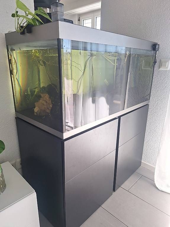 Acquari: aquarium fluval 270l complet – Usato da Coppet venduto da Donnnnnnyyyyy 2