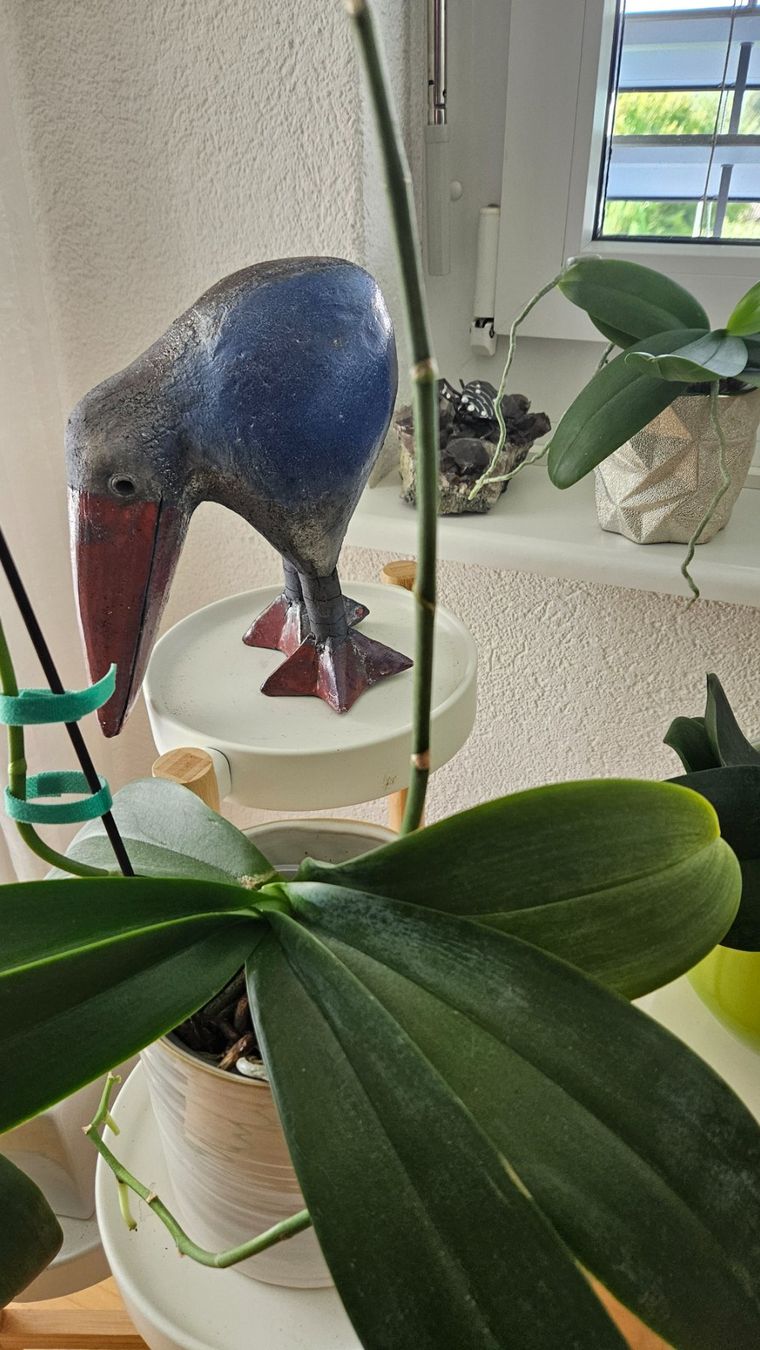 Skulpturen & Statuen: Lustiger Tonvogel – Gebraucht aus Grüt (Gossau ZH) von bea_6lw5 4